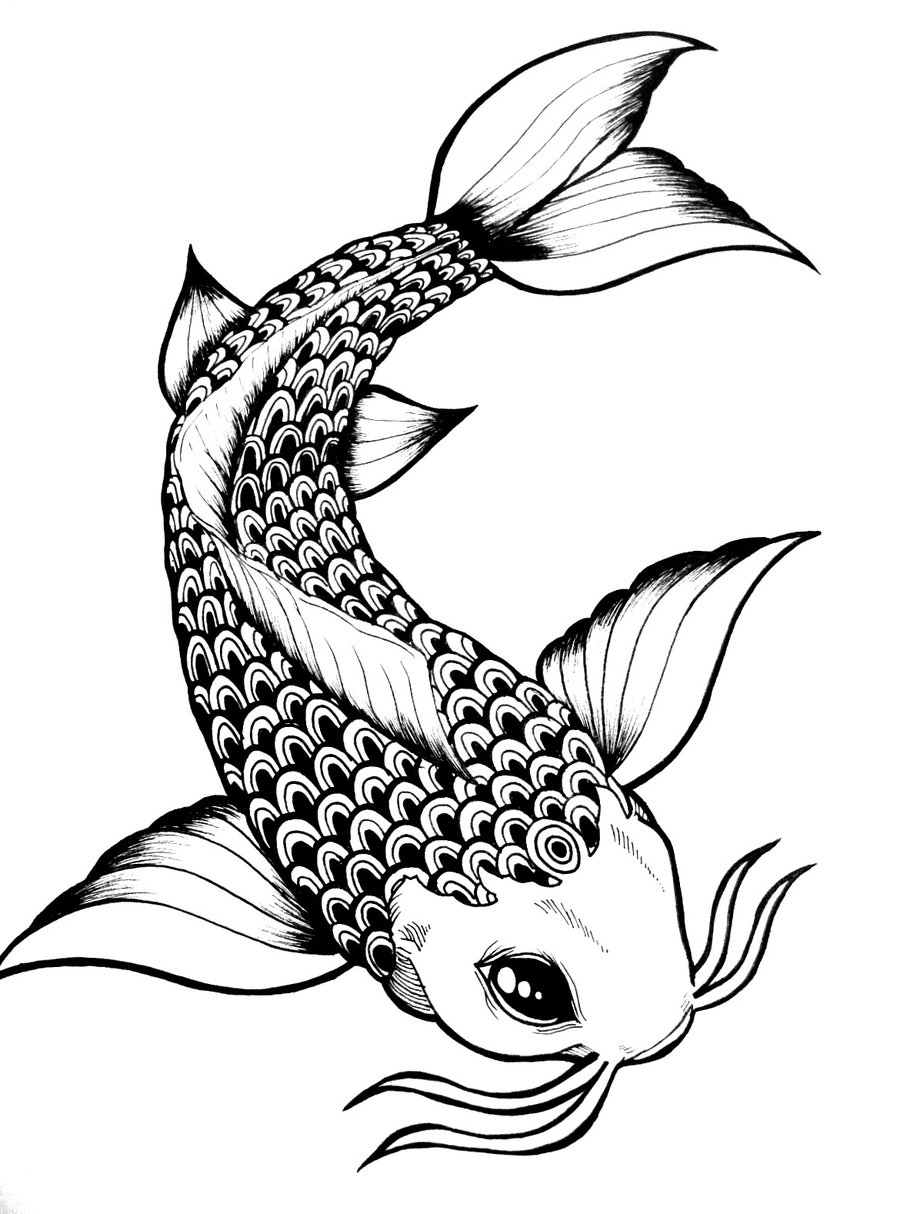 900x1214 Drawn Koi Fish Black And White