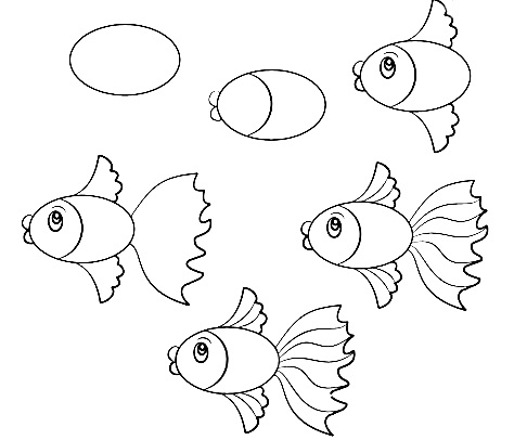 486x406 How To Draw A Simple Fish Step By Step With Pencil, Part 4