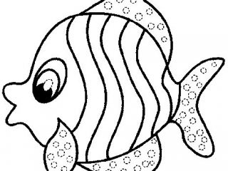 320x240 Printable Fish Coloring Pages Simple Ideas Printable Fish Coloring