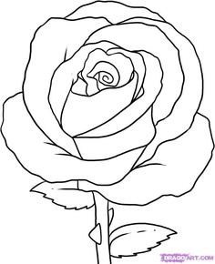 236x290 How To Draw Simple How To Draw A Simple Rose, Step By Step