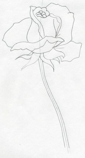 290x537 Draw A Rose Quickly, Simply And Easily Drawings