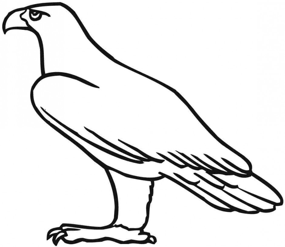 940x813 Simple Eagle Standing Coloring Page Eagle Coloring Pages