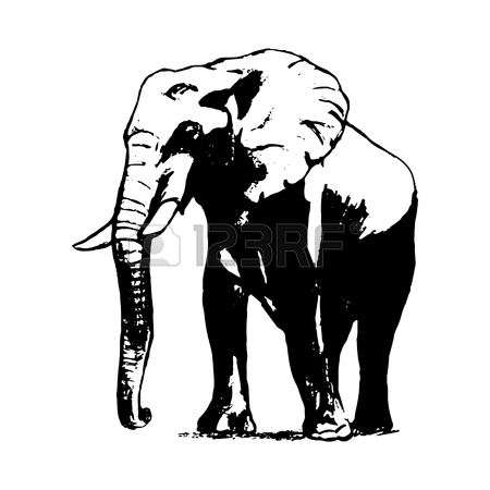 450x450 Graphic Image Of An Elephant Head On A White Background. Black