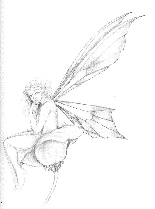 497x670 Fairy Wings By Evolra