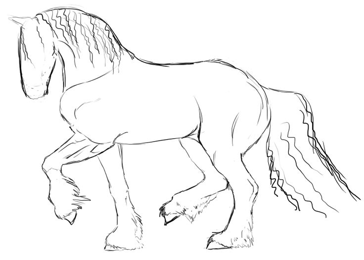 736x527 The Best Simple Horse Drawing Ideas On Horse