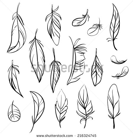 450x470 Vector Set Of Different Hand Drawn Feathers