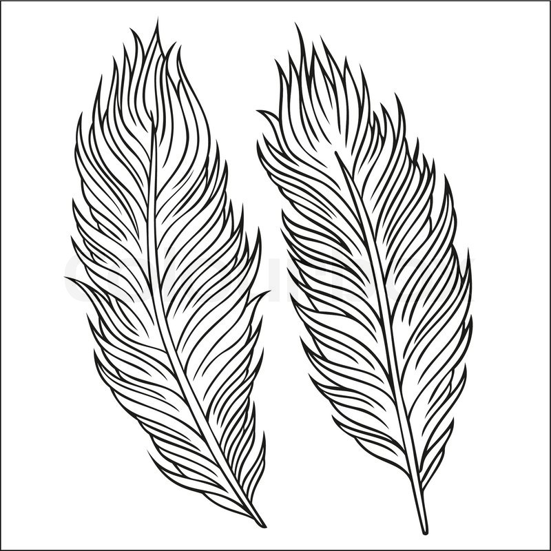 800x800 Vintage Abstract Decorative Ethnic Vector Feathers. Hand Drawn