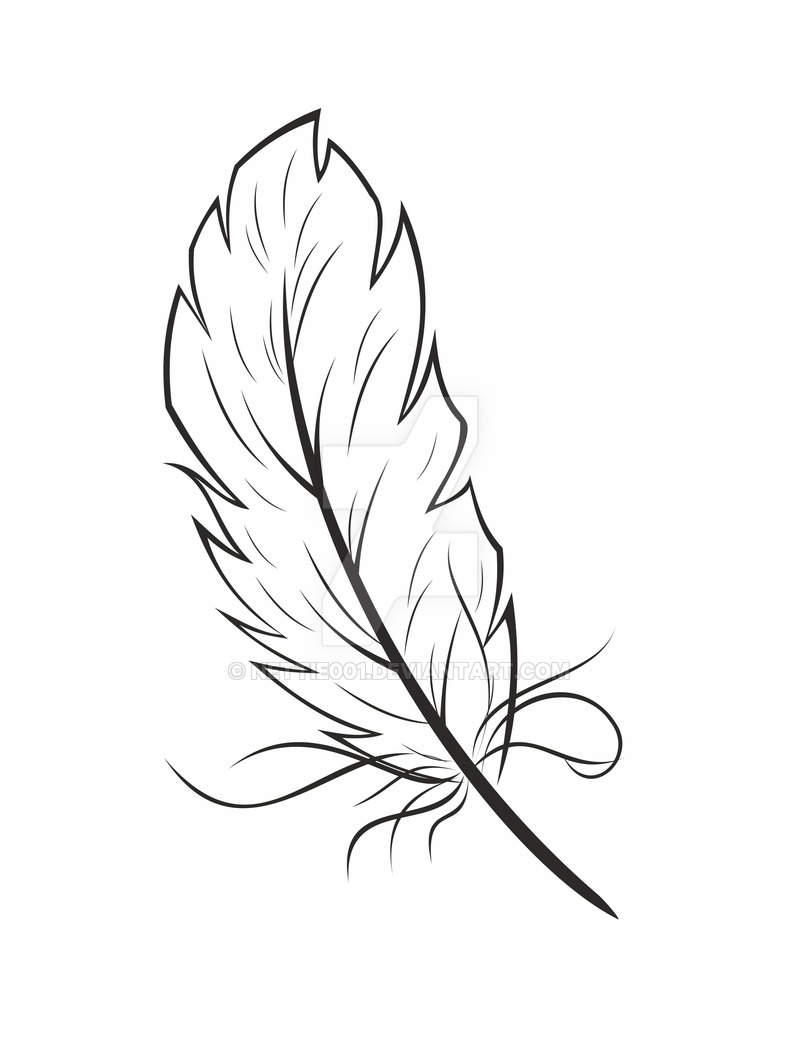 800x1042 Feather Graphic By Nettie001