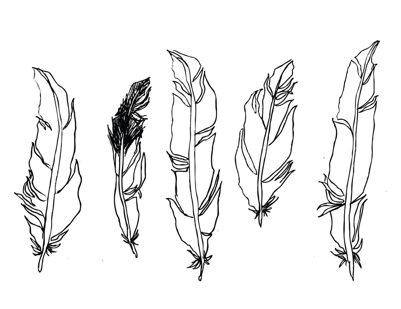 1600x1236 Whimsically Made Cade's Feathers