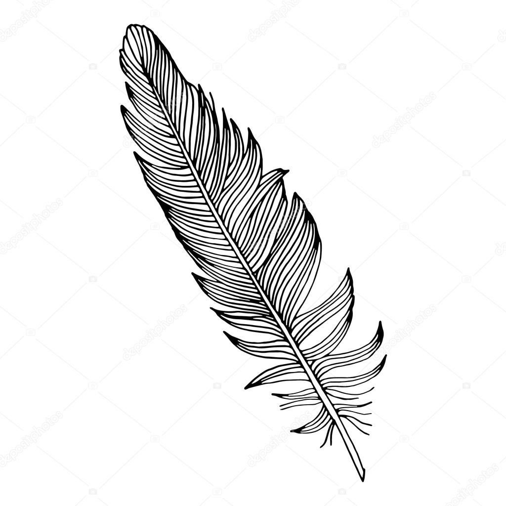 1024x1024 Writing Feather Stock Vector Zelena