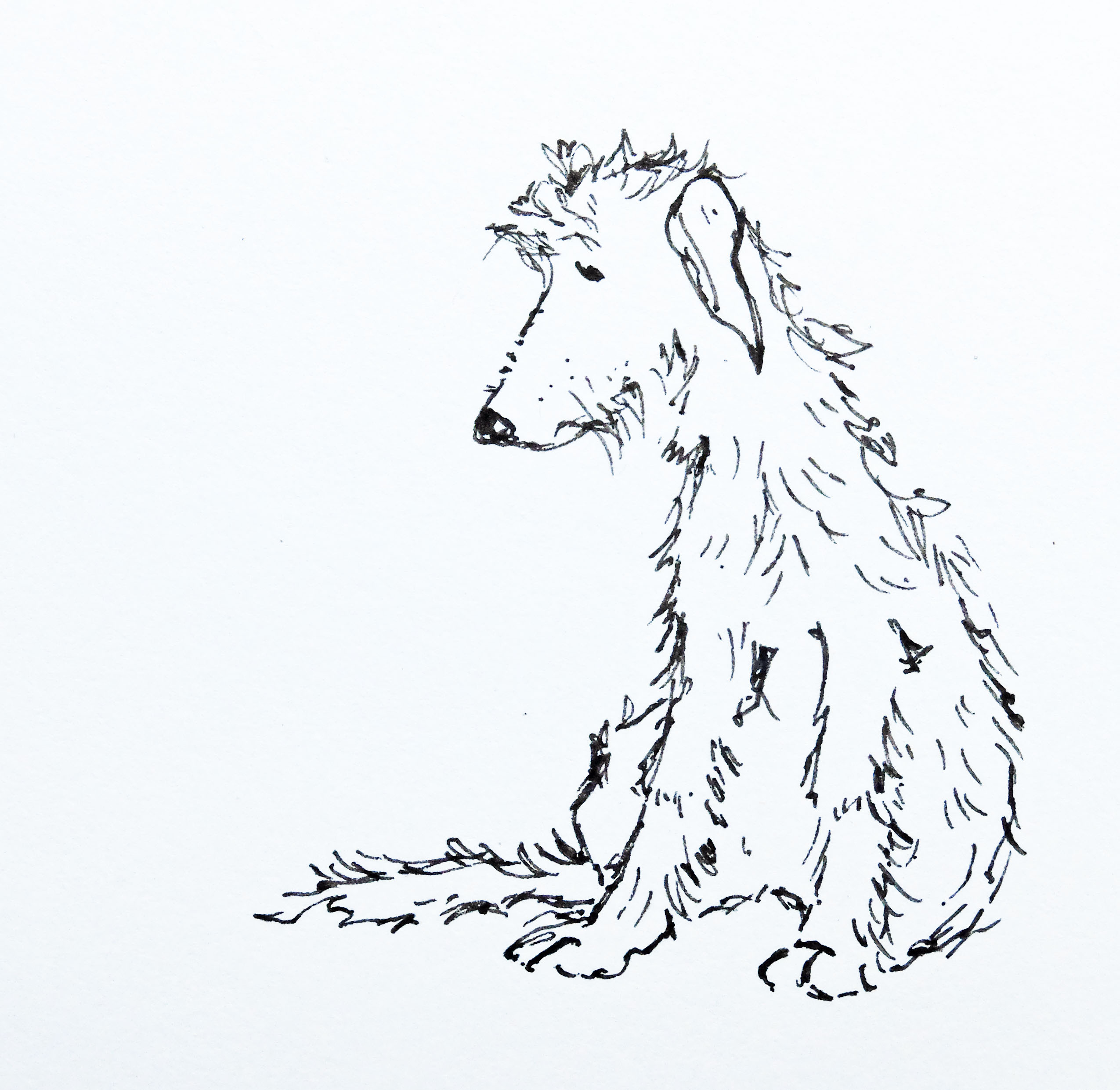 2550x2482 A Dull Day, A Walk And Some Simple Sketches. Looking For Susan