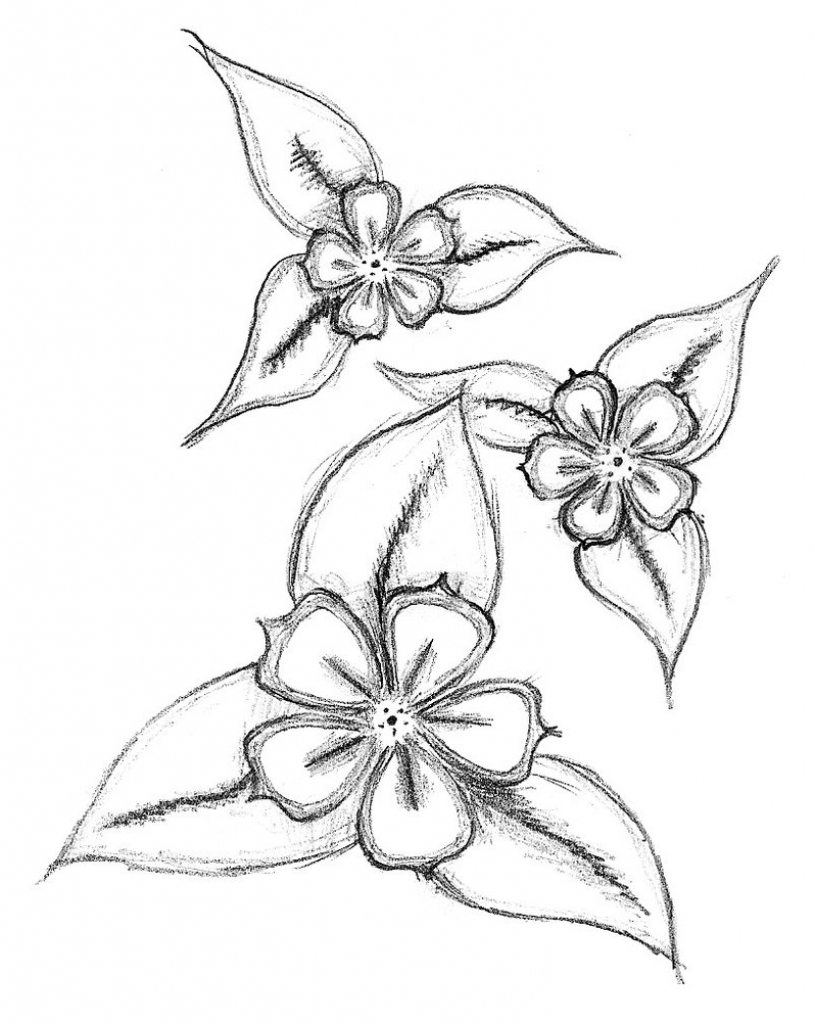 815x1024 Drawings Of Simple Flowers. How To Draw A Daisy Step By Step How