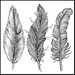 255x255 1.1.r01 Lesson Plan Topic 1.1