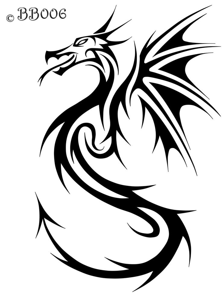 736x981 28 Best Fire Dragon Tribal Tattoo Designs Images
