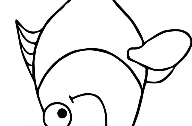 640x420 Tag For Medium Fish Drawing Line Drawing Of A Fish Photo