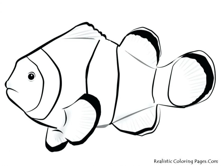 932x699 Printable 25 Simple Fish Coloring Pages 5076 Golden Fish Simple