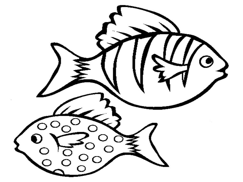 1024x768 Best Fish Images On Coloring And Drawing Goldfish Pages