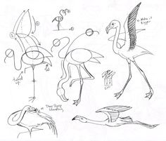 236x201 Flamingo Draw Animals Flamingos