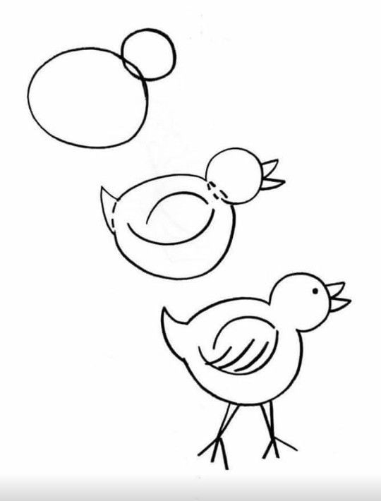 540x710 15 Best Drawings Images On Drawing Ideas, Drawing