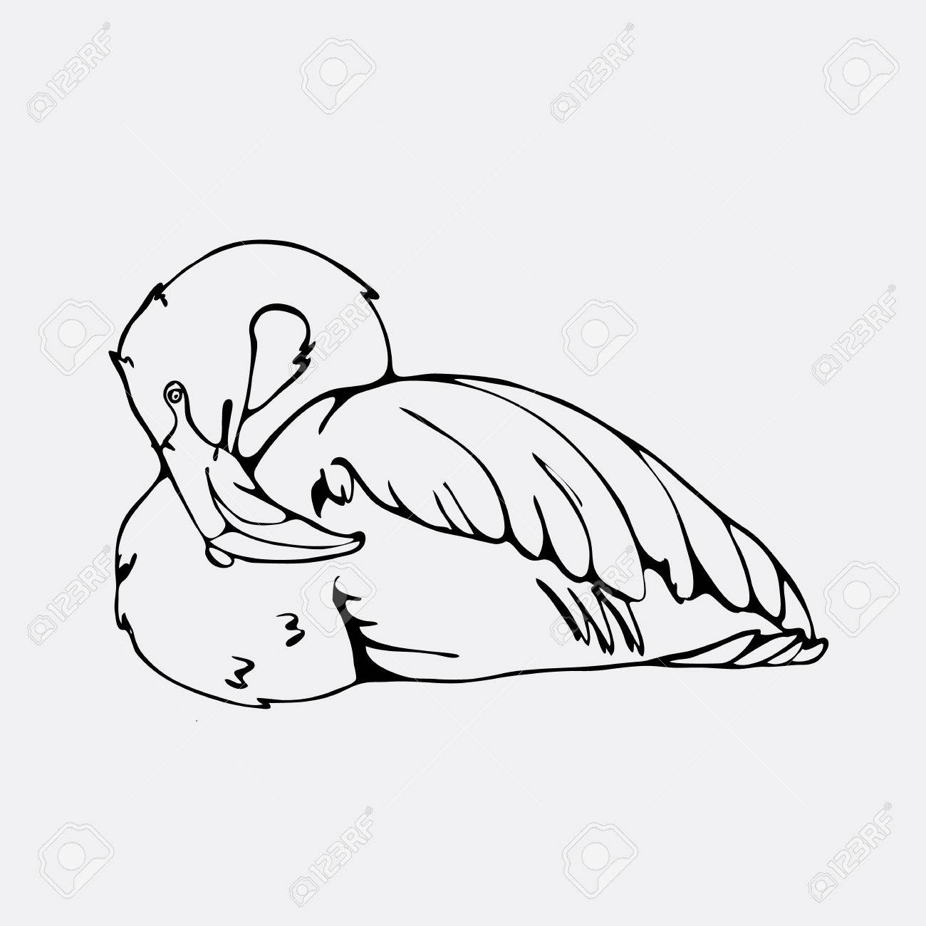 1300x1300 Hand Drawn Pencil Graphics, Flamingo. Engraving, Stencil Style