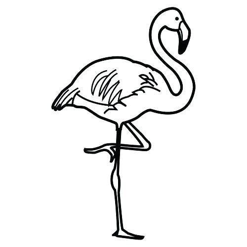 500x500 Idea Flamingo Coloring Page For Coloring Page Flamingo 81 Simple
