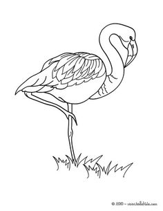 236x305 Pre K Coloring Pages Pink Flamingo School Pink