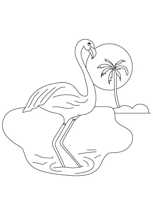 520x730 Flamingo Coloring Page