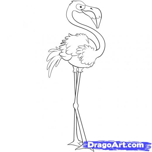 520x520 How To Draw A Flamingo Kid's Room Flamingo