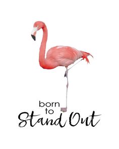 236x295 Printables Tcm Flamingo.jpg Nursery