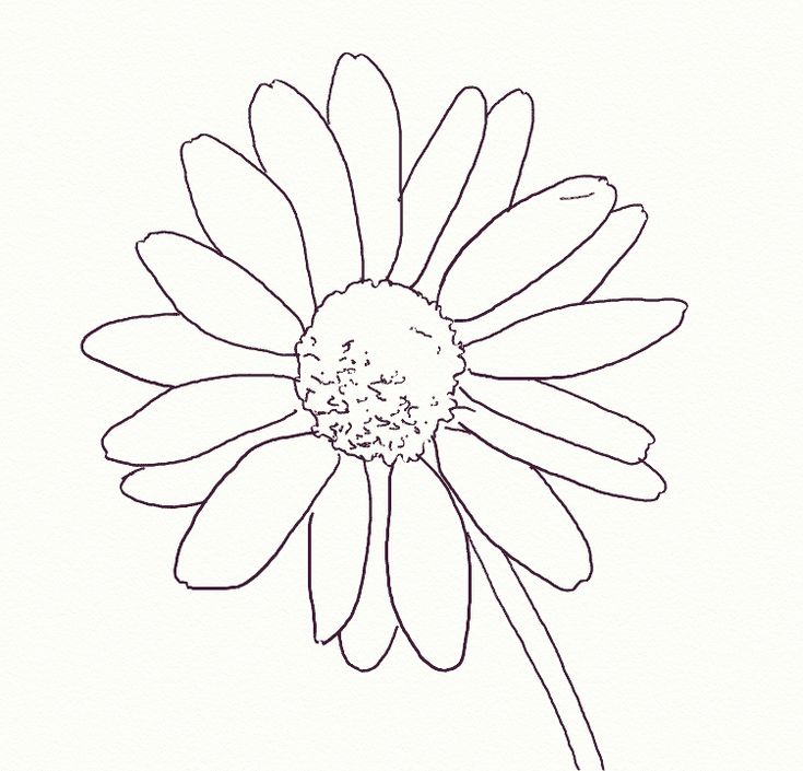 735x705 The Best Easy Flower Drawings Ideas On Flower