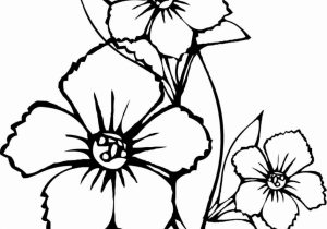 300x210 Simple Flower Designs Pencil Drawing