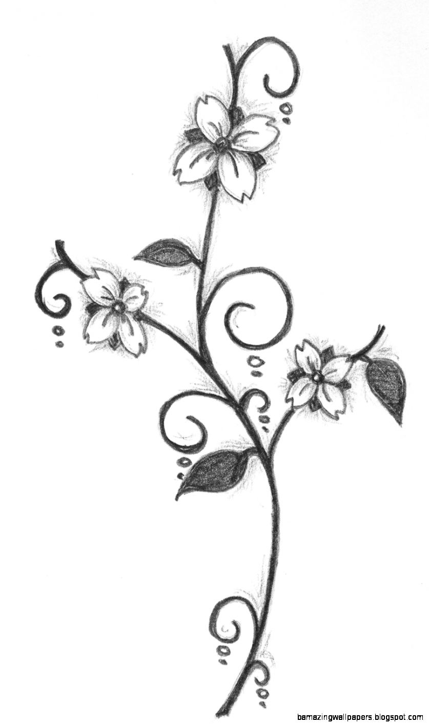 837x1413 Simple Flower Drawing In Pencil Amazing Wallpapers