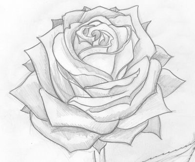 400x333 Simple Flower Designs For Pencil Drawing