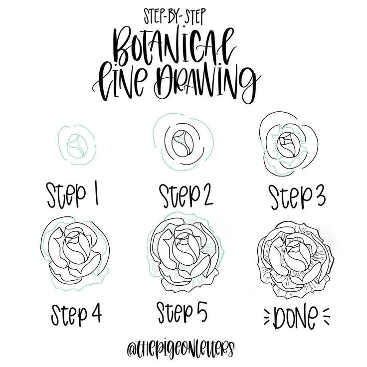 736x736 Pictures Easy Decorative Picture Drawings,