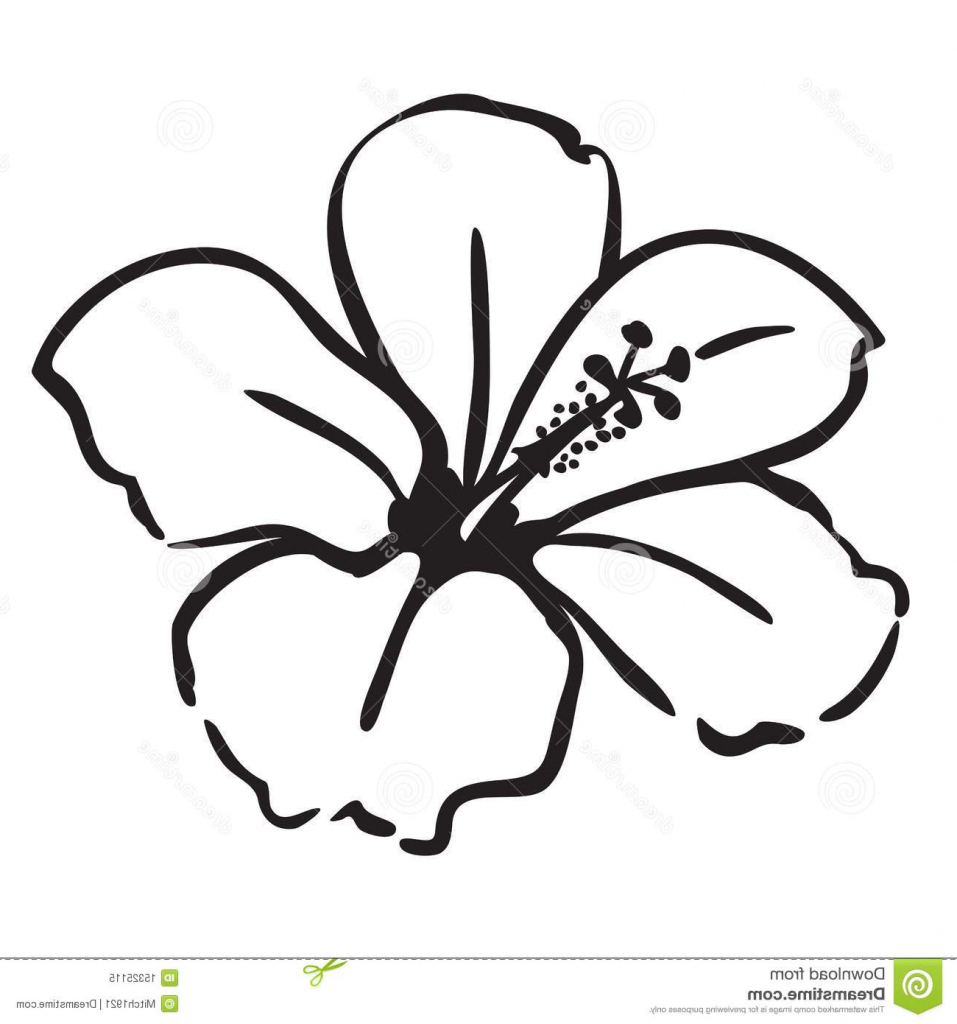 957x1024 Simple Flowers Drawing 1000 Images About Flower Drawings