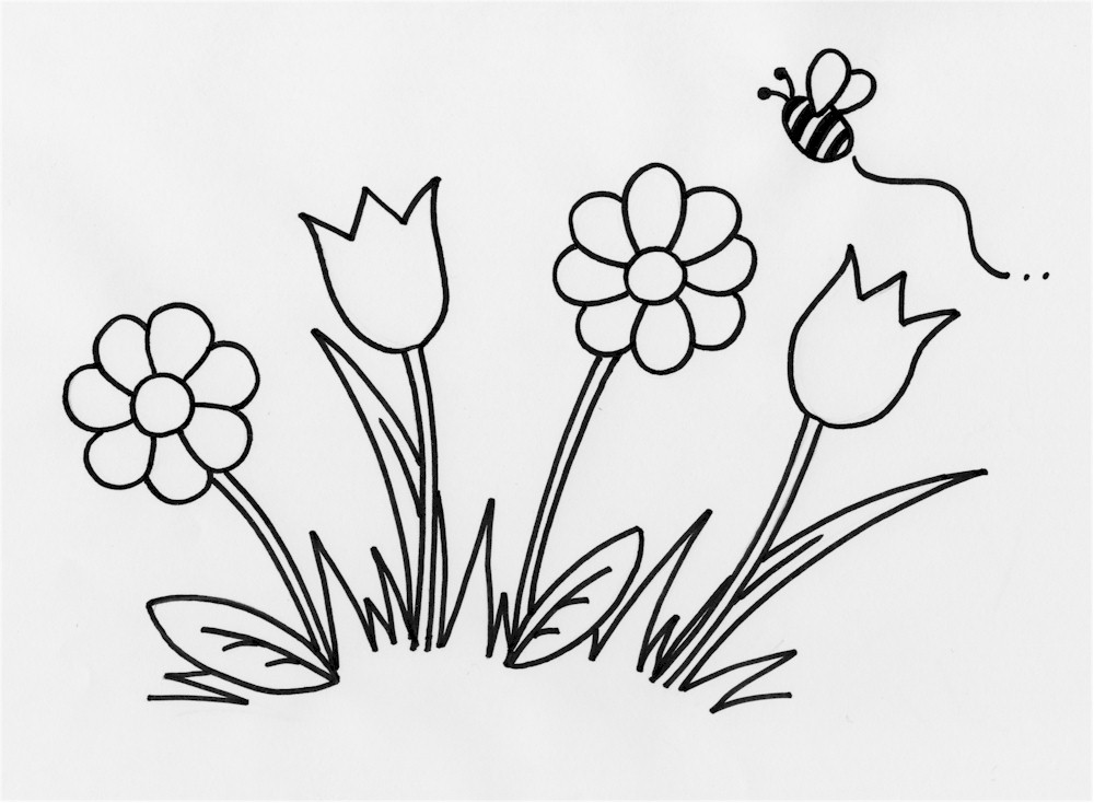 1000x734 Flowers Drawing For Kids