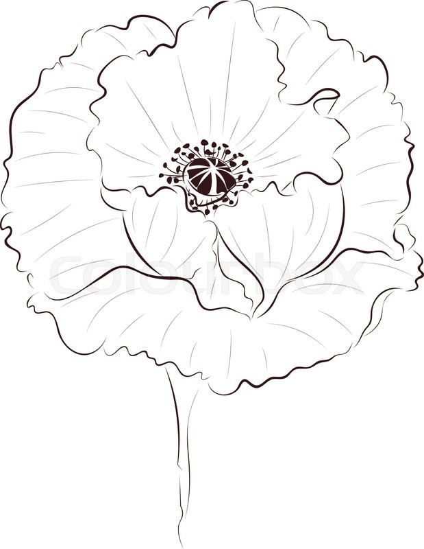 Simple Flower Line Drawing at GetDrawings | Free download