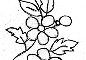 300x210 Flower Designs Drawings Cool Simple Flower Designs To Draw