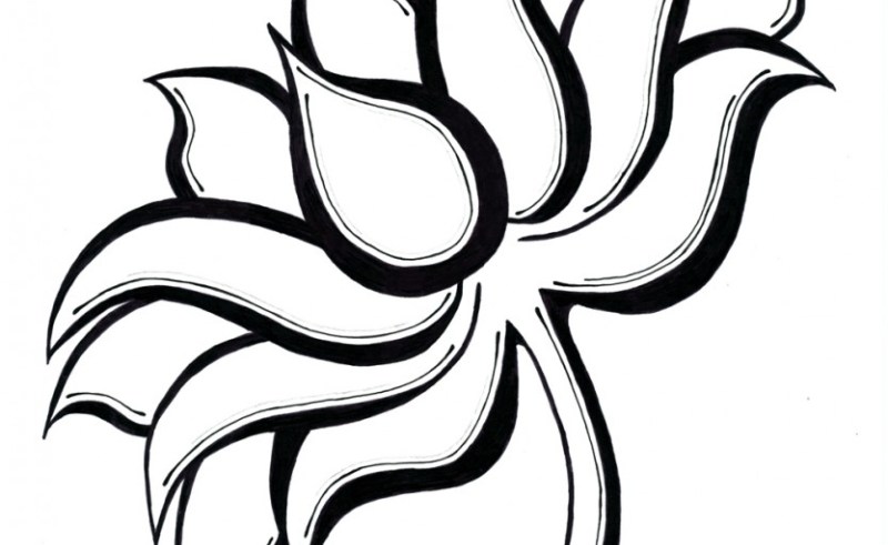 800x491 Line And Flower Designs Gardening Flower And Vegetables