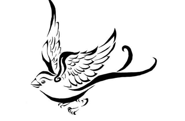 640x420 Tag For Simple Drawings Of Birds Gallery Images And Information