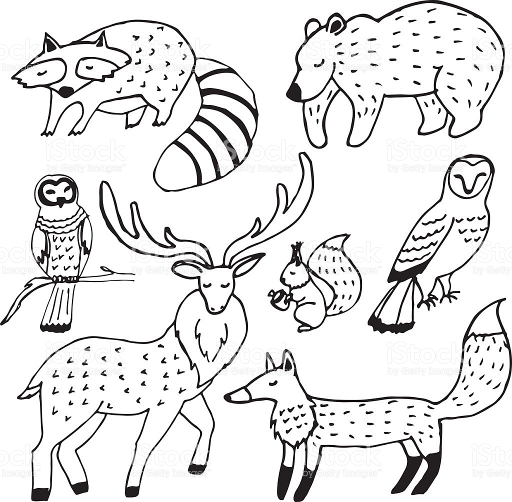 Easy Drawing Of Forest With Animals : Drawing Easy Rainforest Forest ...