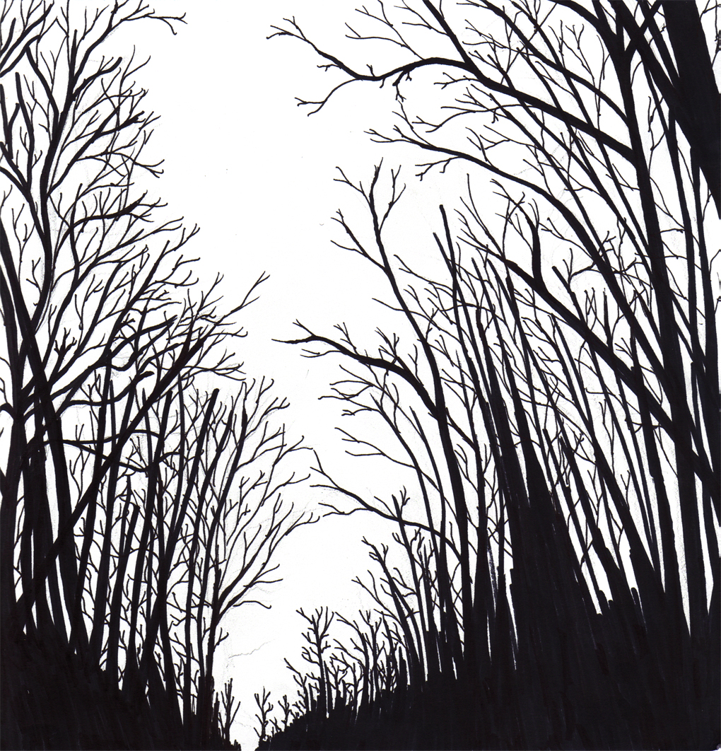 1020x1062 Dark Forest By Ngoc50