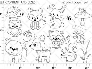 320x240 Woodland Animals Coloring Pages Ba Forest Animals Coloring Pages