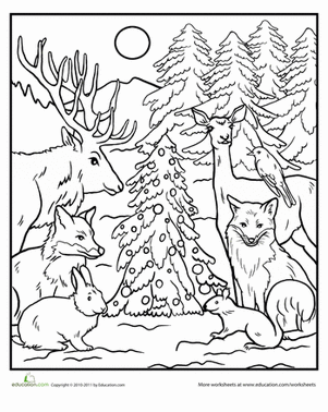 301x378 Forest Animals Coloring Pages
