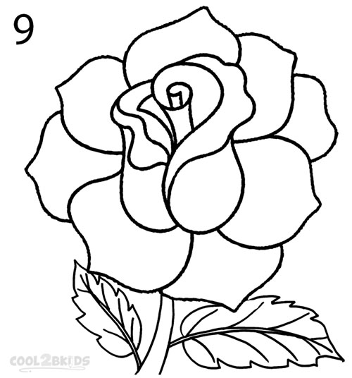 500x536 How To Draw A Realistic Rose Step 9 Rose