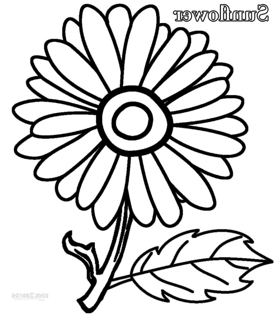 909x1024 Simple Sunflower Drawing Step By Step