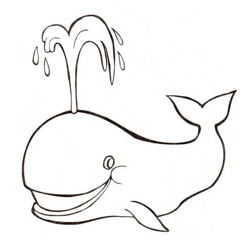 477x480 Whale Spouts Water Coloring Page Free Printable Coloring Pages