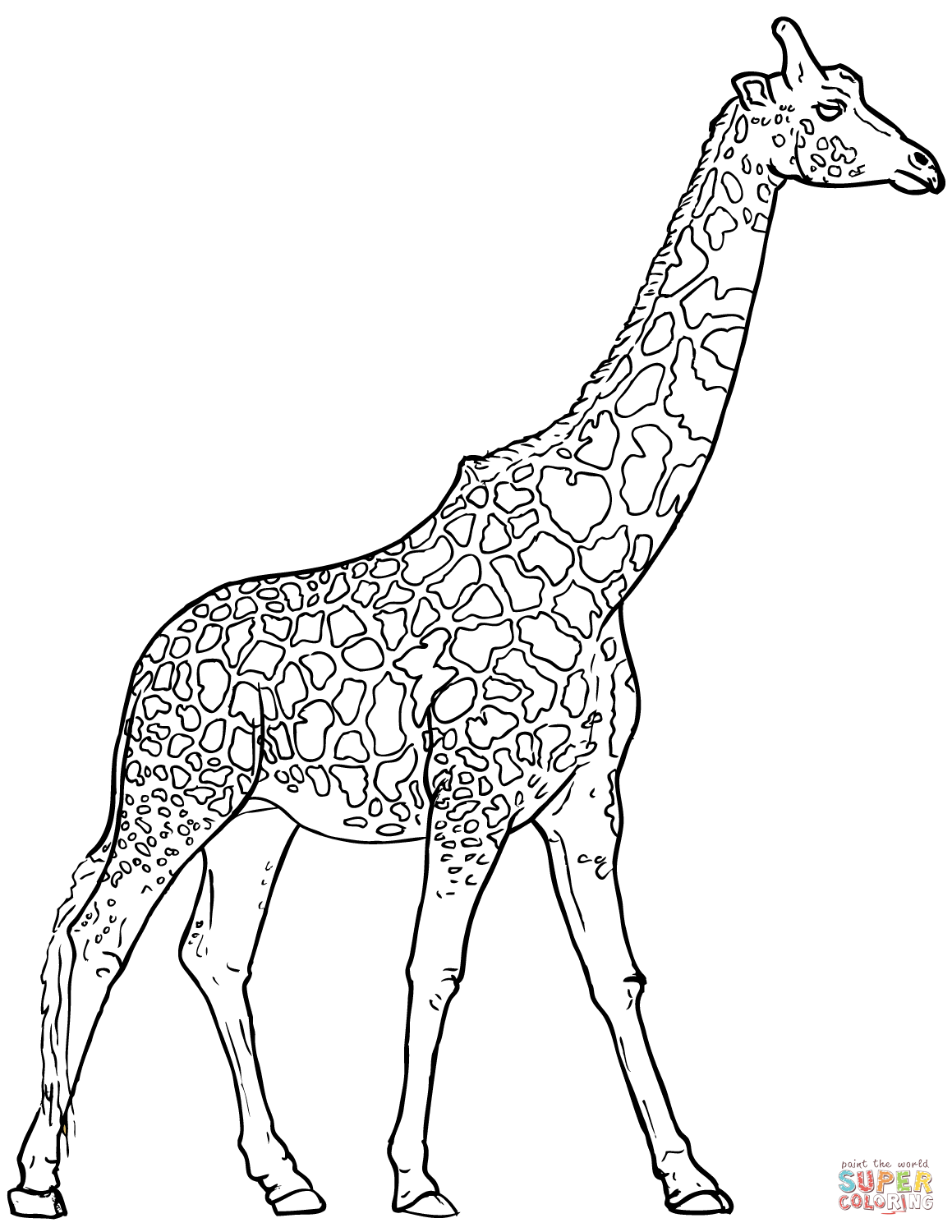 1159x1500 Realistic Giraffe Coloring Page Free Printable Coloring Pages