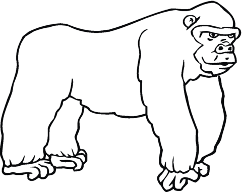 480x380 Gorilla 7 Coloring Page Free Printable Coloring Pages