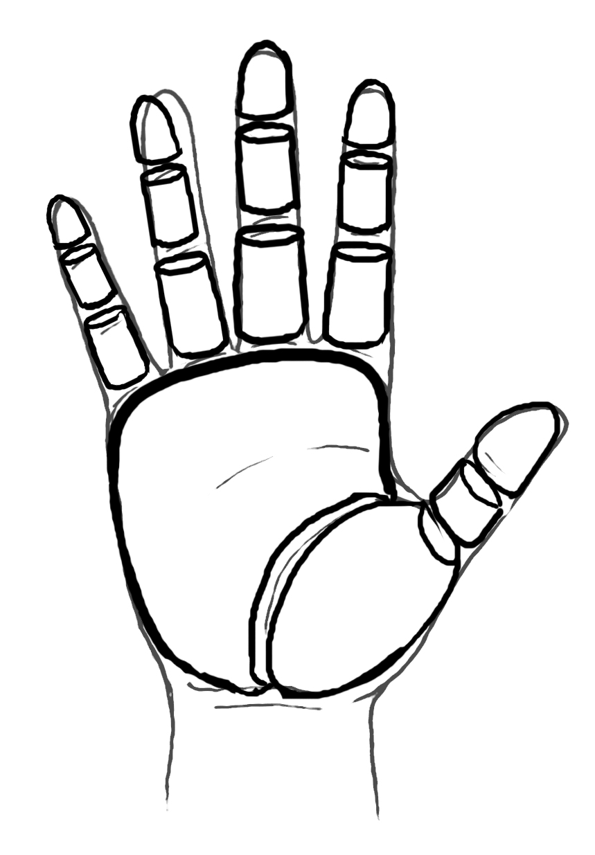859x1235 Rules Of Thumb For Drawing Hands